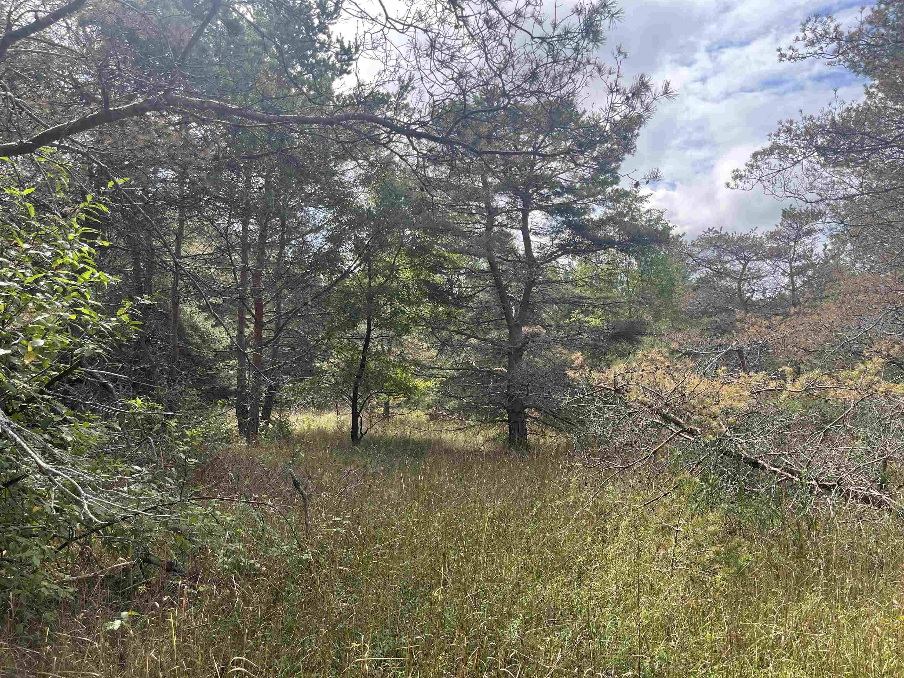 Maple City HWY, Almira Twp, MI 49650