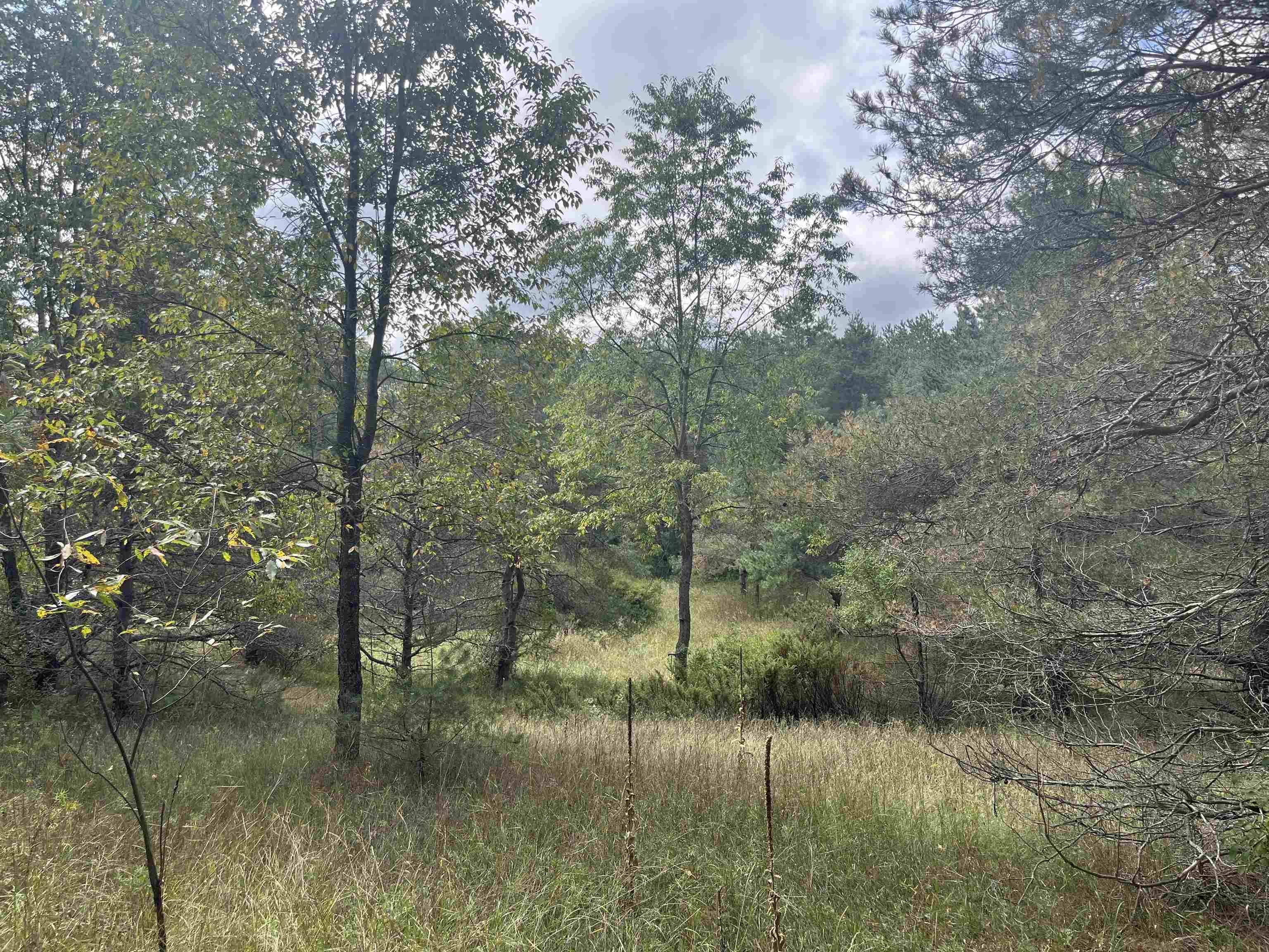 Maple City HWY, Almira Twp, MI 49650