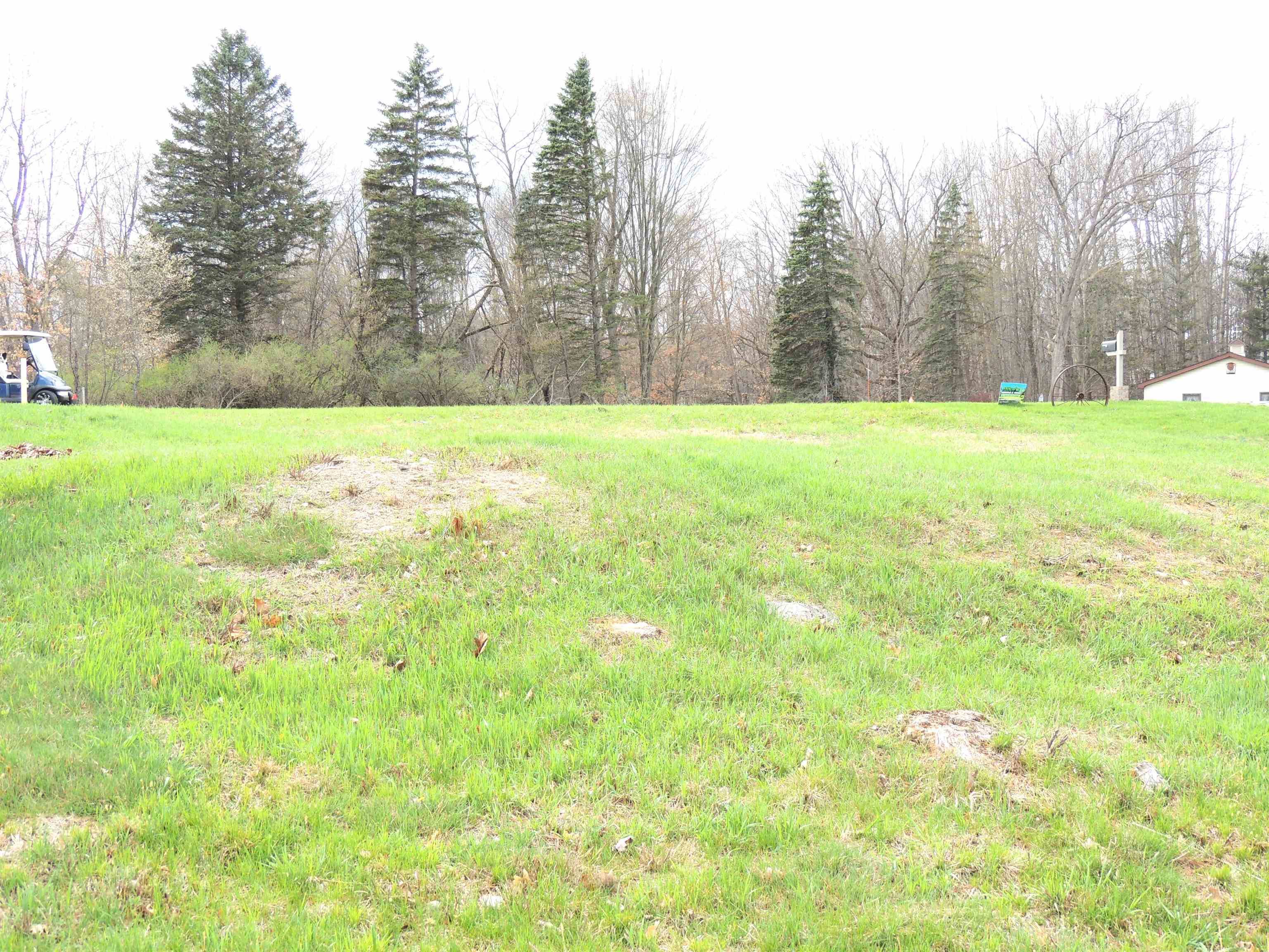 1062 Castle DR, Lake Isabella, MI 48893