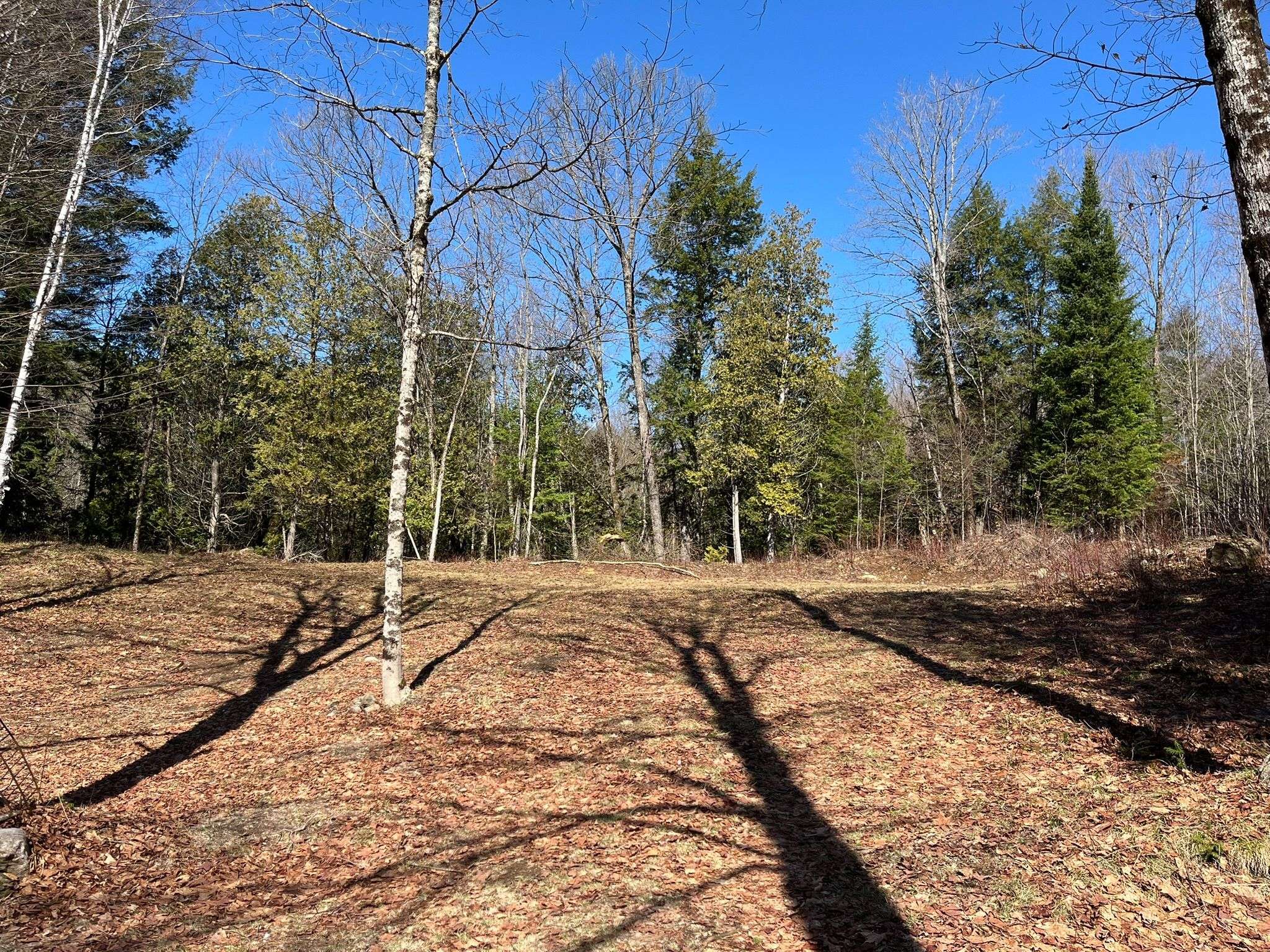 1270 Old Donald RD, Dysart Et Al, ON K0M 1S0