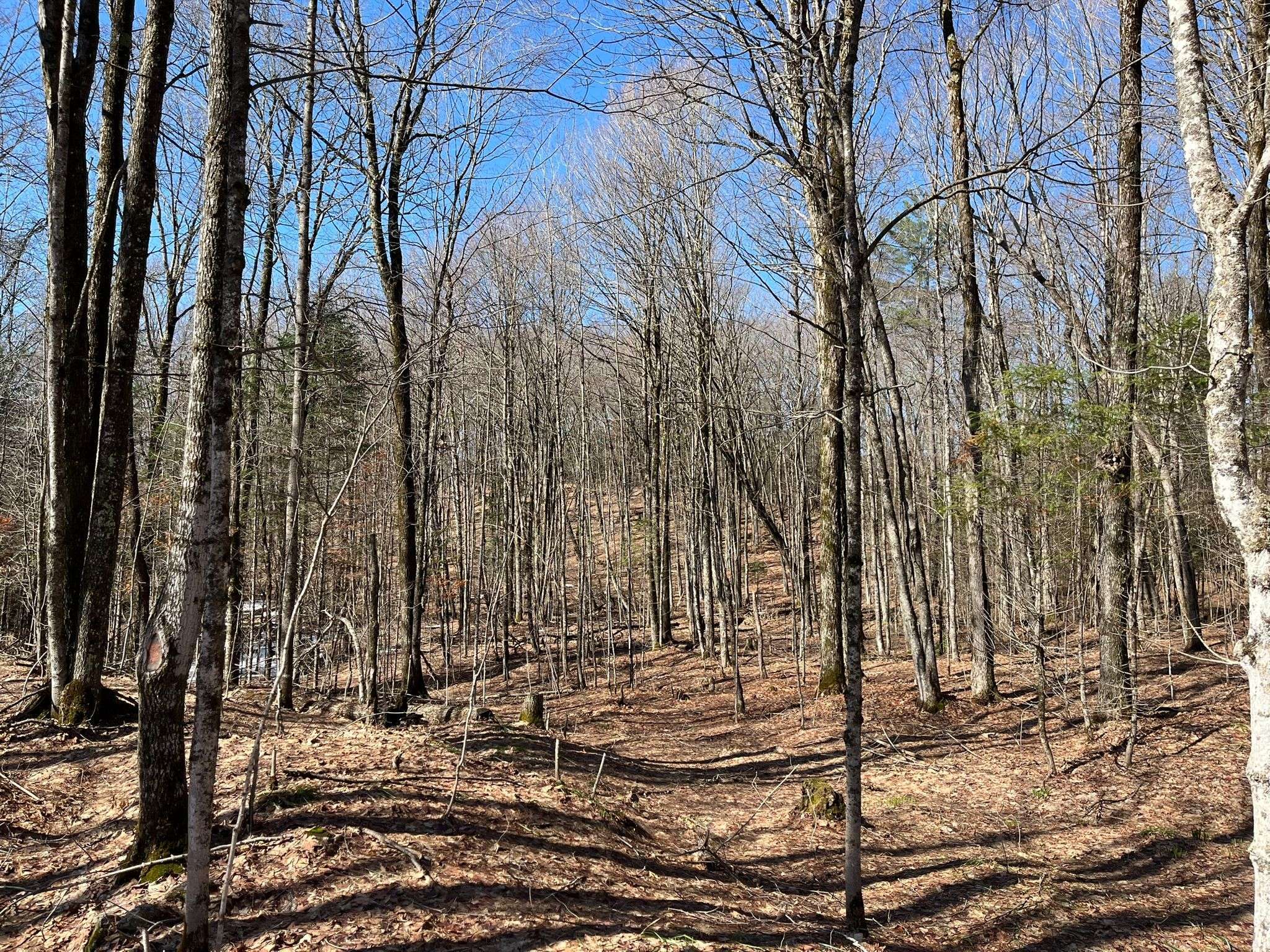 1270 Old Donald RD, Dysart Et Al, ON K0M 1S0