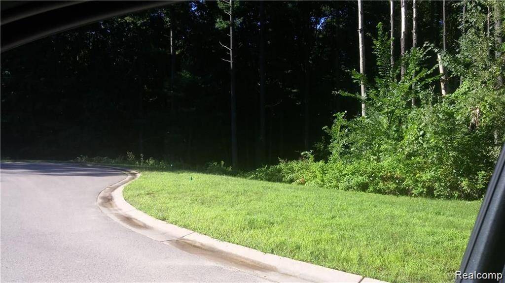 81 Mystic Pines Ct, Hamburg Township, MI 48169