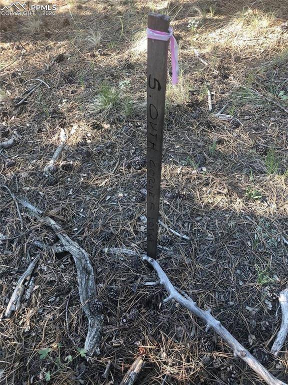 469 Echo Lake DR, Lake George, CO 80827