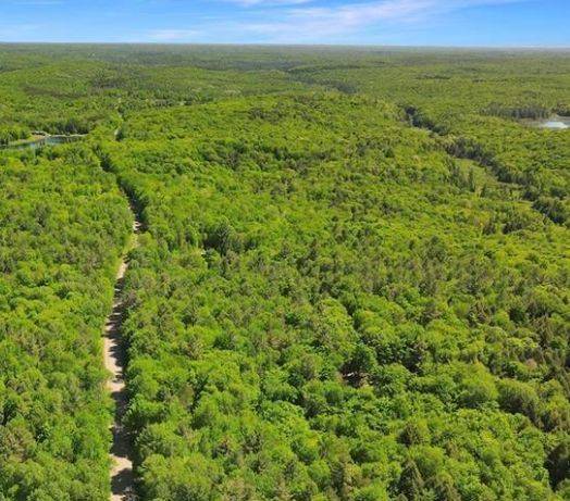 0 Bobcaygeon RD, Minden Hills, ON K0M 2K0