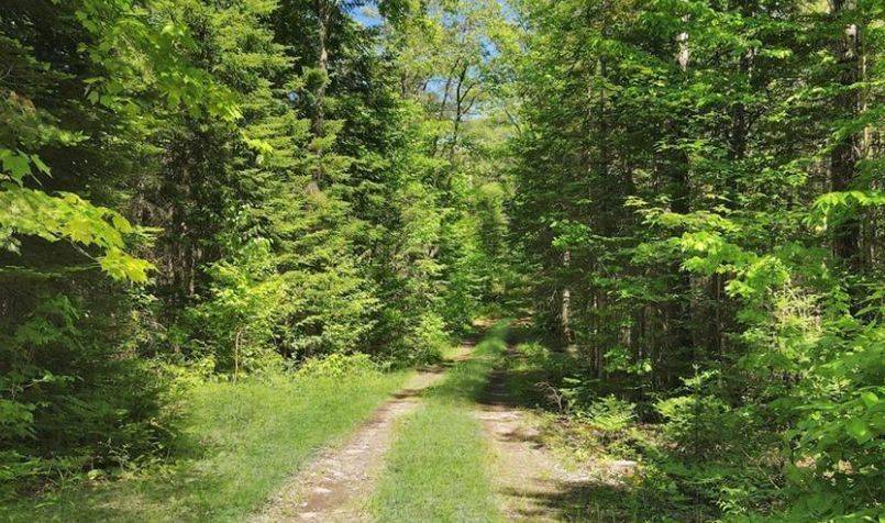 0 Bobcaygeon RD, Minden Hills, ON K0M 2K0