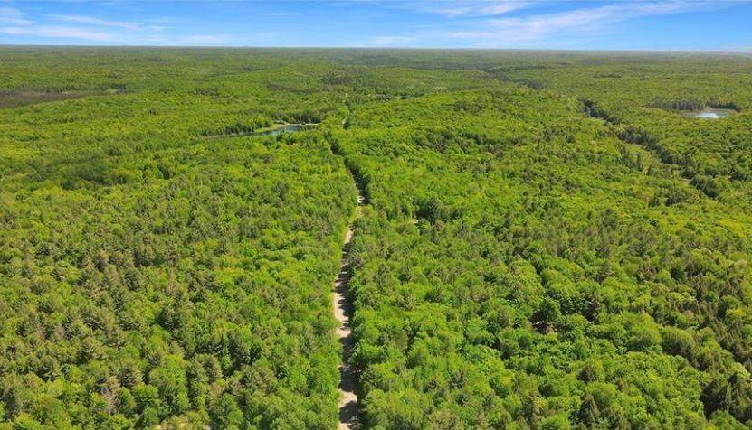 0 Bobcaygeon RD, Minden Hills, ON K0M 2K0