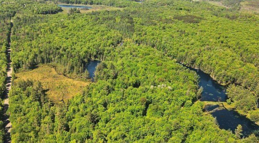 0 Bobcaygeon RD, Minden Hills, ON K0M 2K0