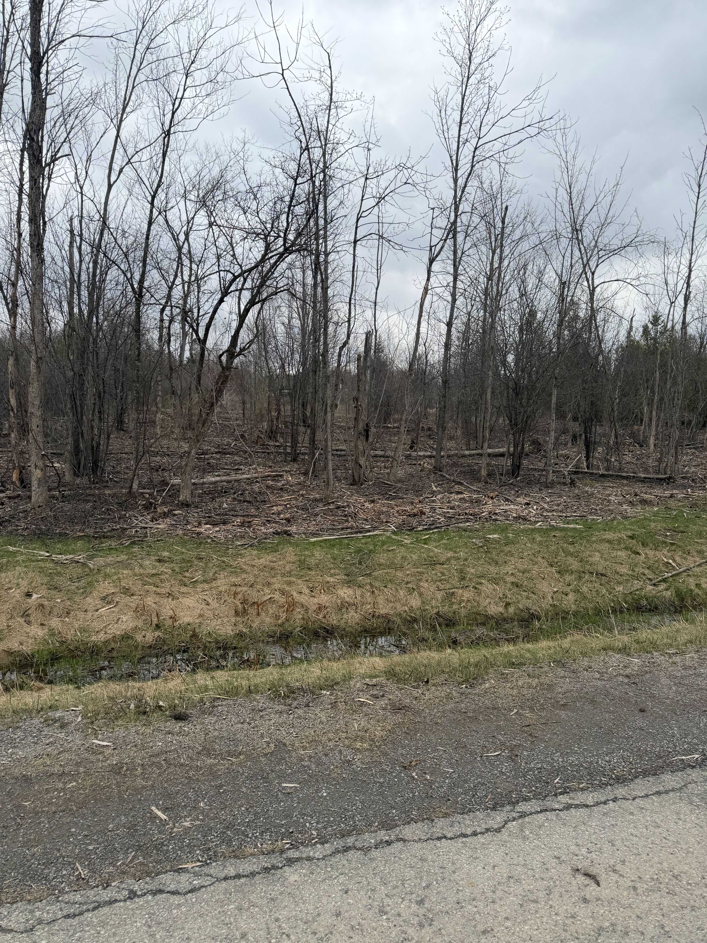 8074 Adam Baker WAY, Greely - Metcalfe - Osgoode - Vernon And Area, ON K0A 2P0