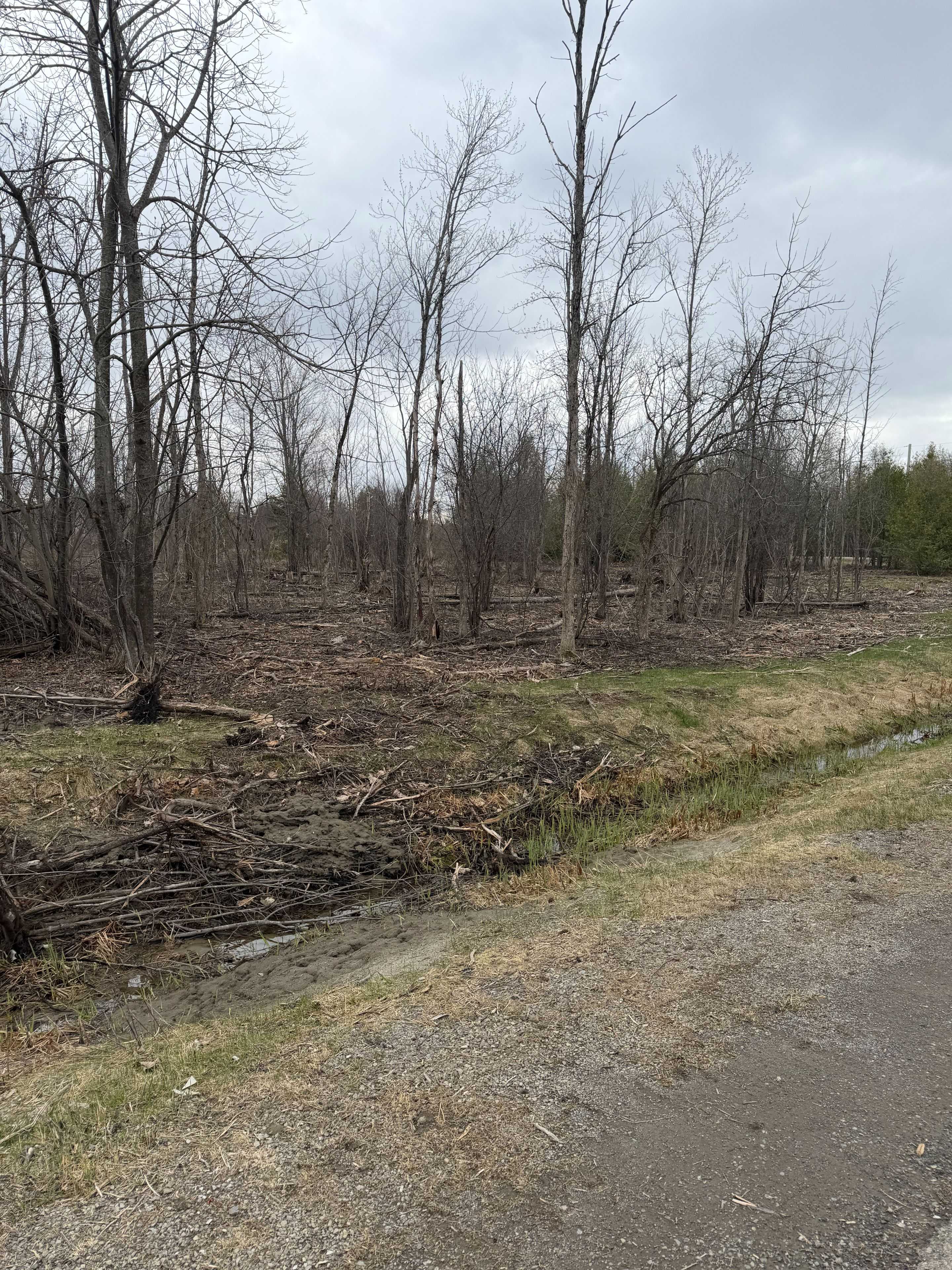 8074 Adam Baker WAY, Greely - Metcalfe - Osgoode - Vernon And Area, ON K0A 2P0