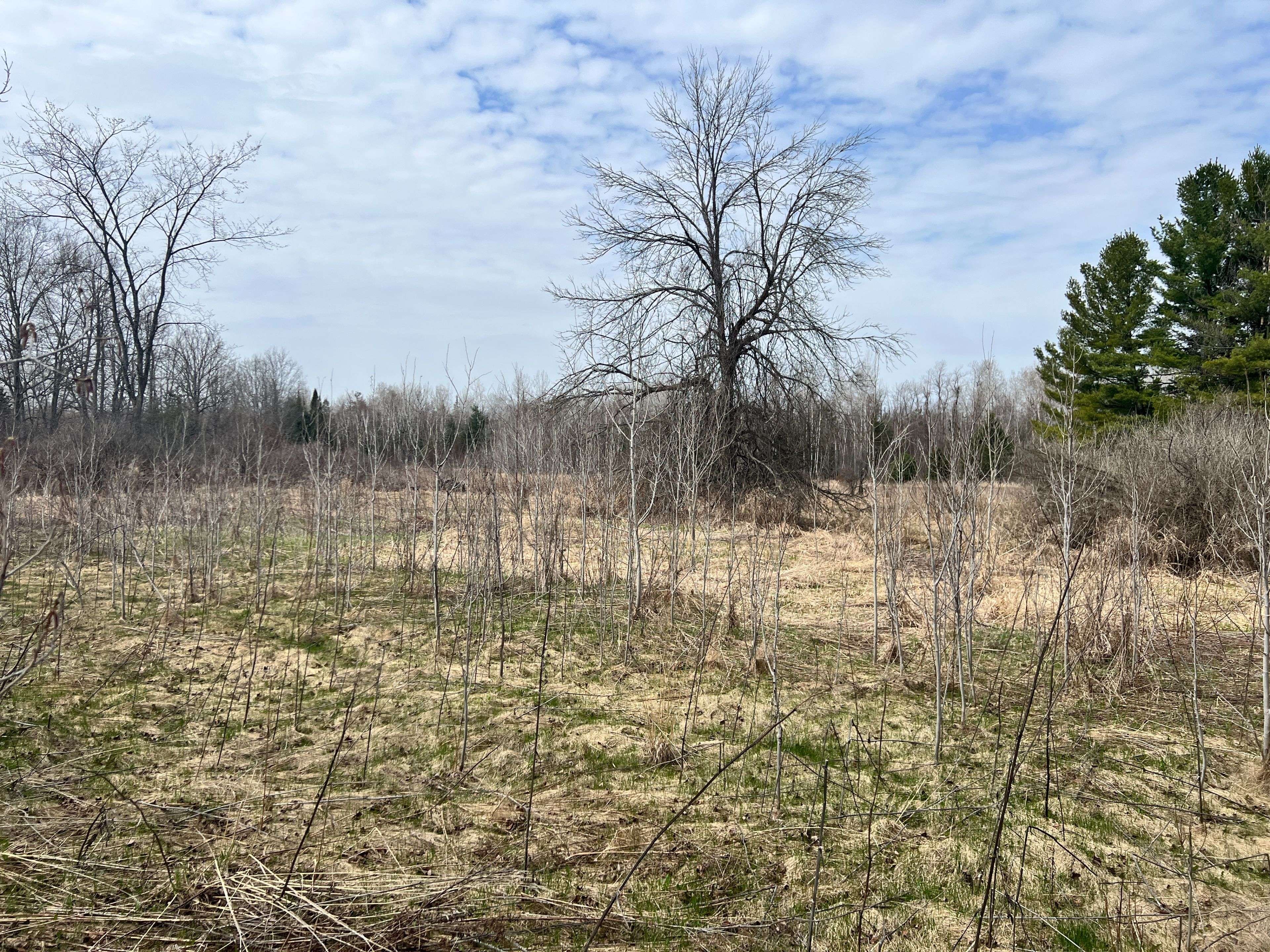 2556 6th Line Beckwith Line, Beckwith, ON K7A 4S7