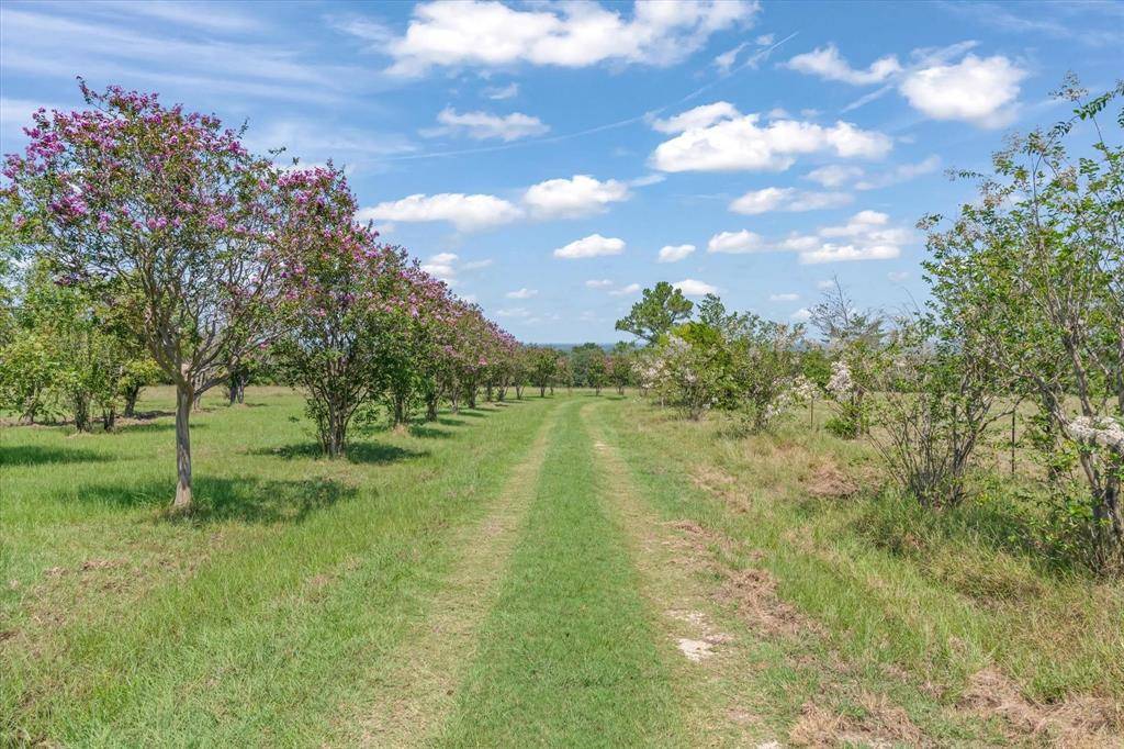 2503 Vz County Road 3804, Wills Point, TX 75169