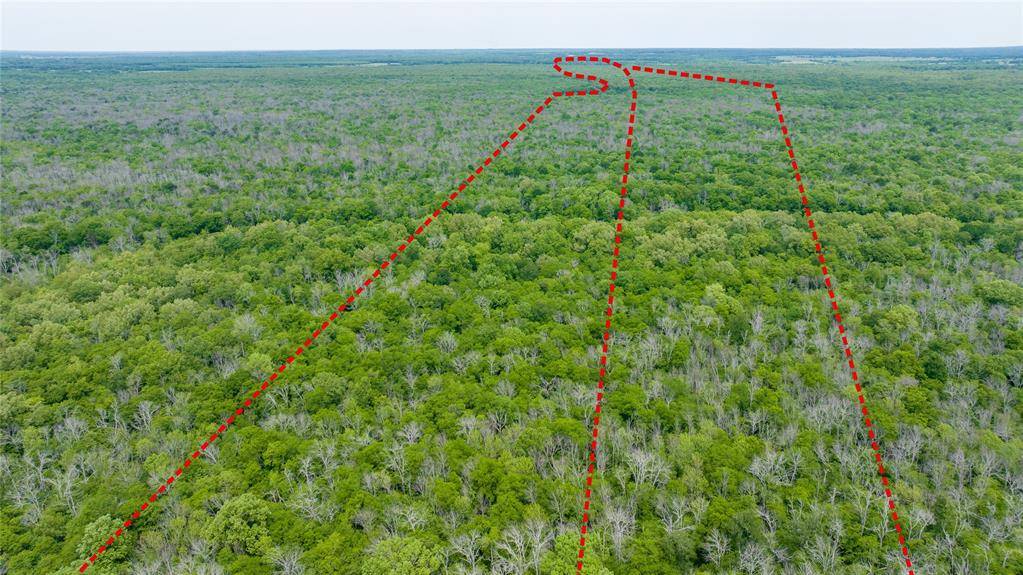 TBD CR 4630, Annona, TX 75550