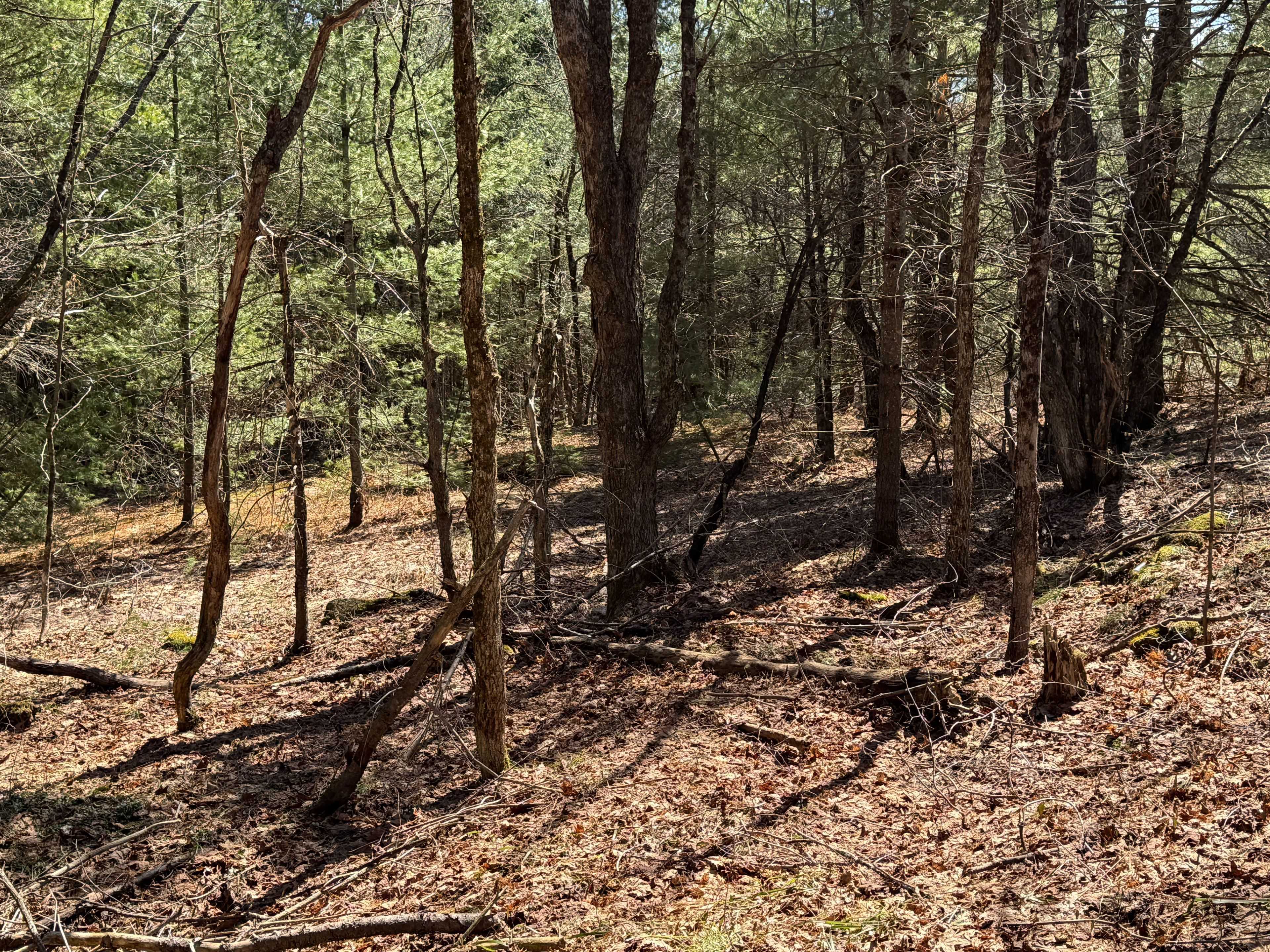 Lot 15 Con 2 Draper N/A, Bracebridge, ON P1P 1R3