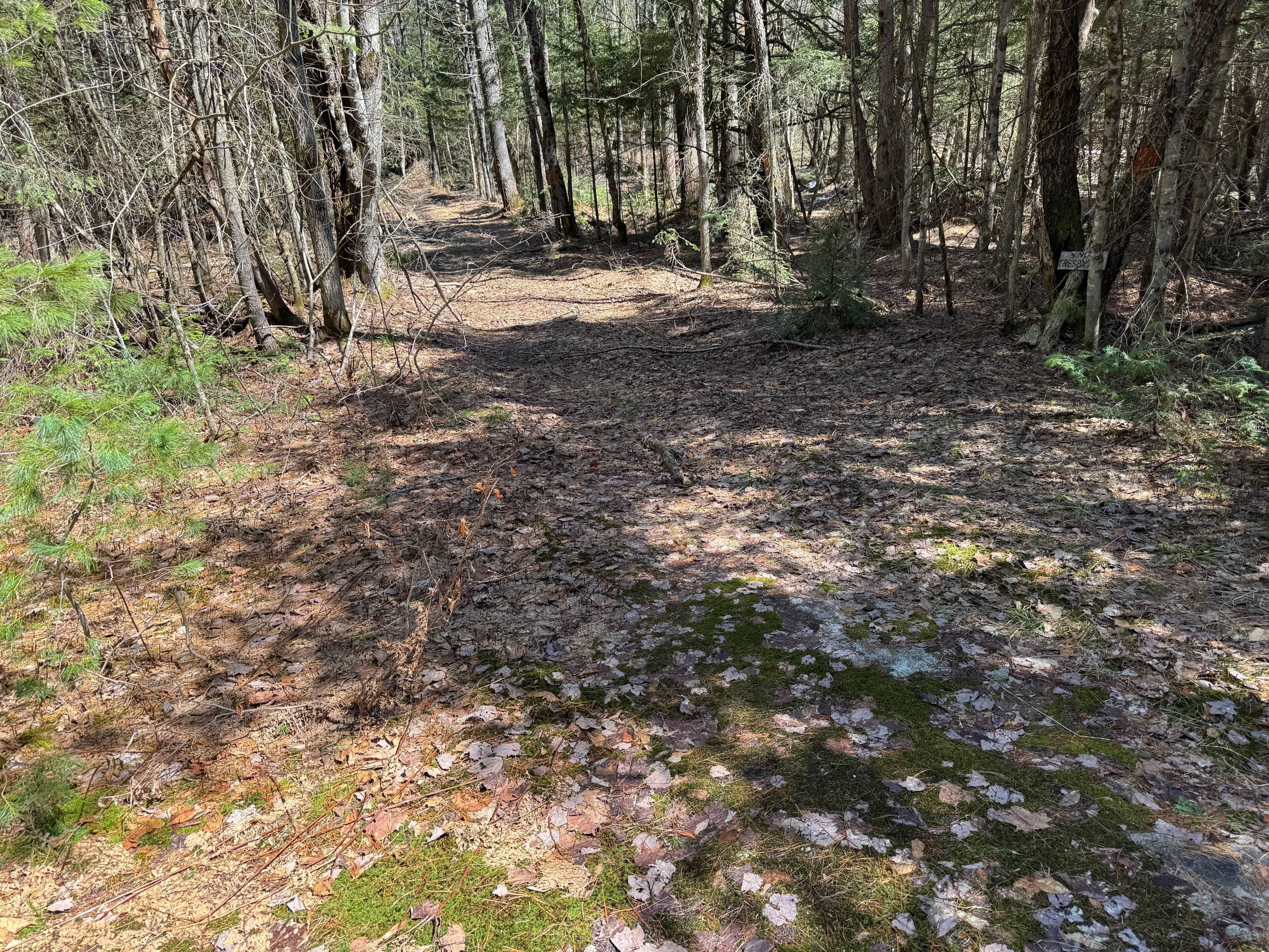 Lot 15 Con 2 Draper N/A, Bracebridge, ON P1P 1R3