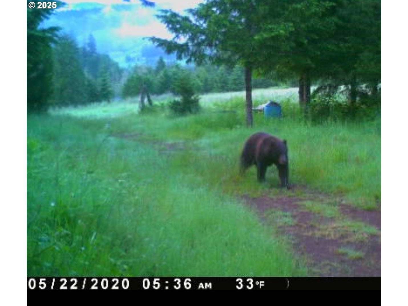 Kenady Lane Lot 401, Cottage Grove, OR 97424