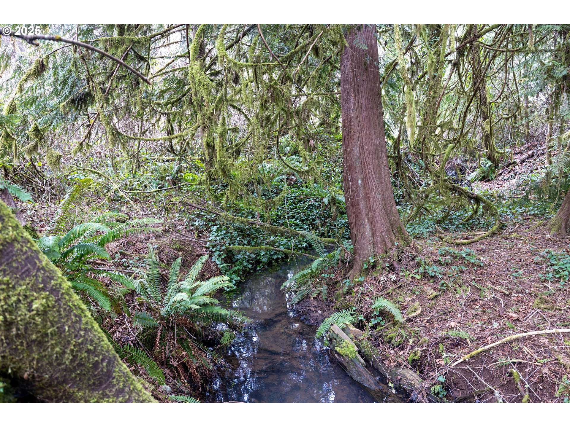 Kenady Lane Lot 401, Cottage Grove, OR 97424