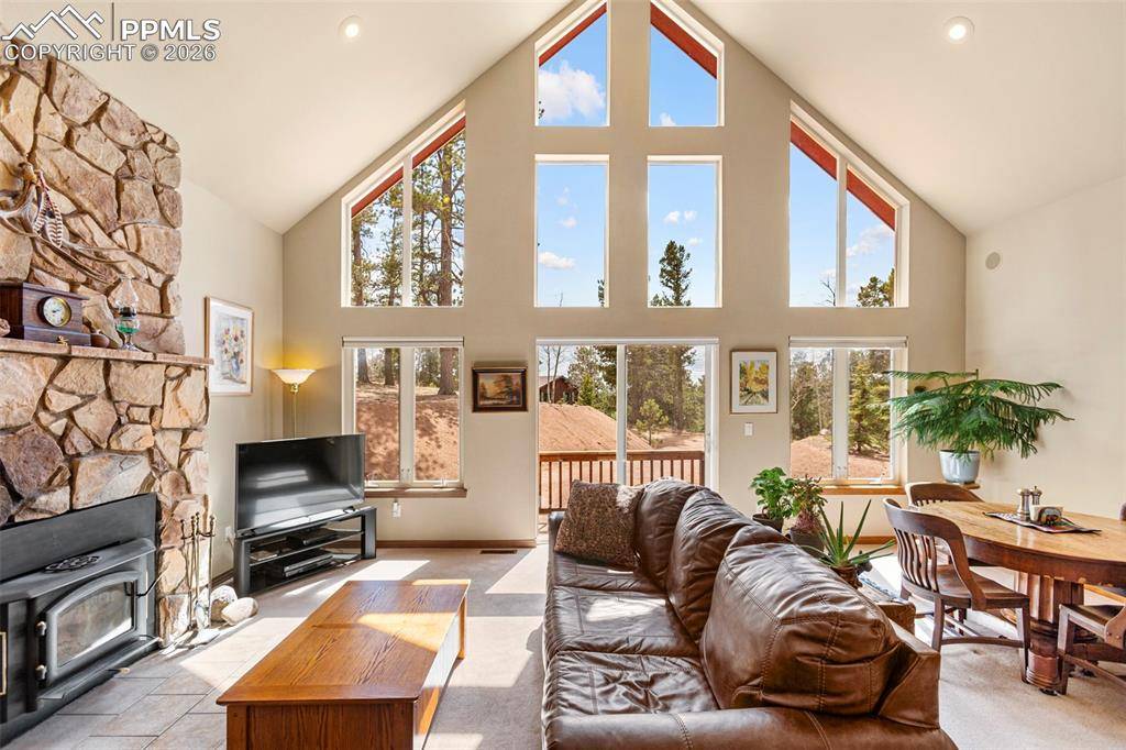 938 Spring Valley LN, Florissant, CO 80816