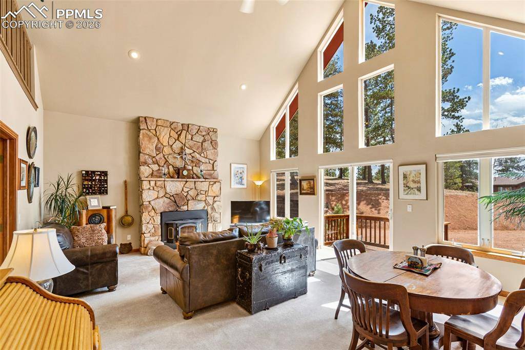 938 Spring Valley LN, Florissant, CO 80816