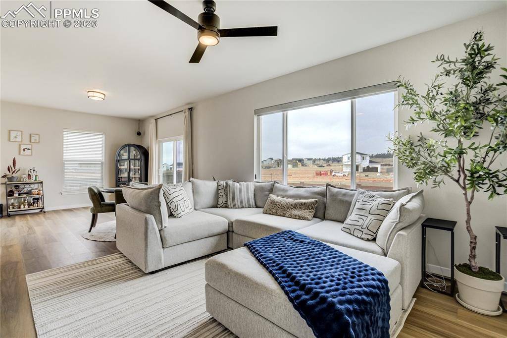 7248 Knapp DR, Colorado Springs, CO 80924