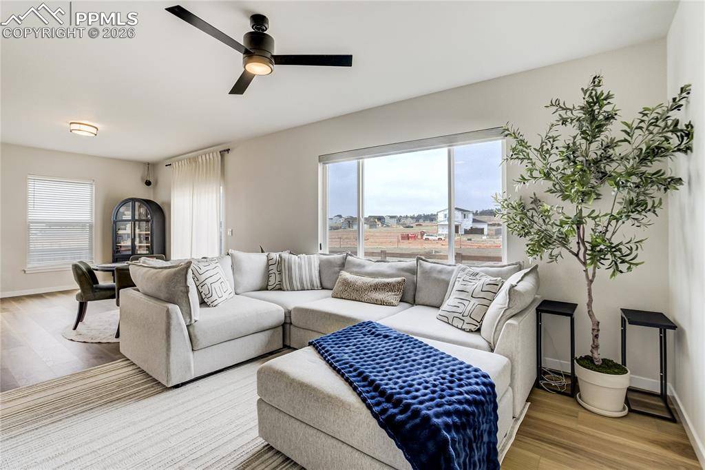 7248 Knapp DR, Colorado Springs, CO 80924