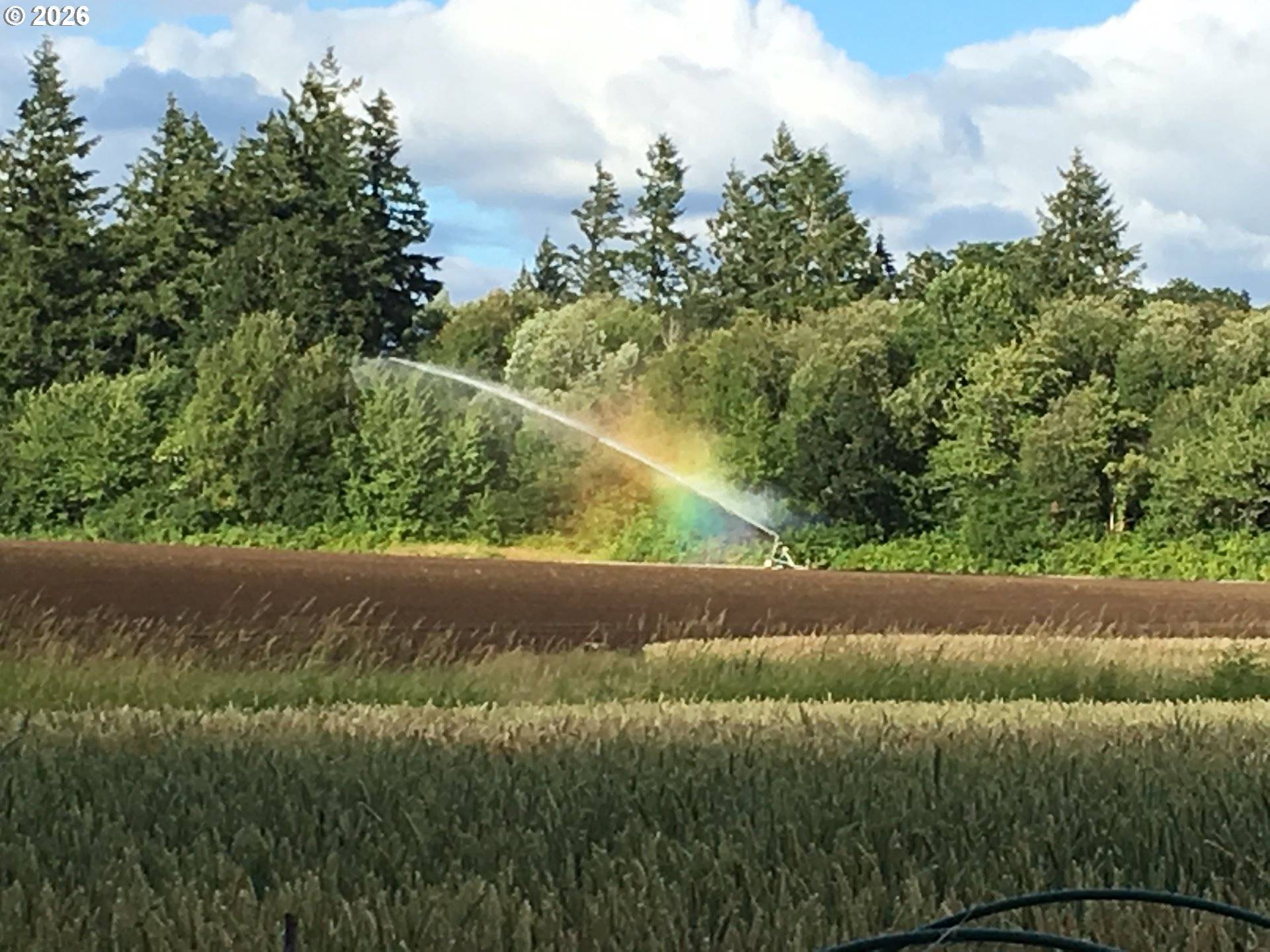 12131 NW HIGHWAY 47, Forest Grove, OR 97116