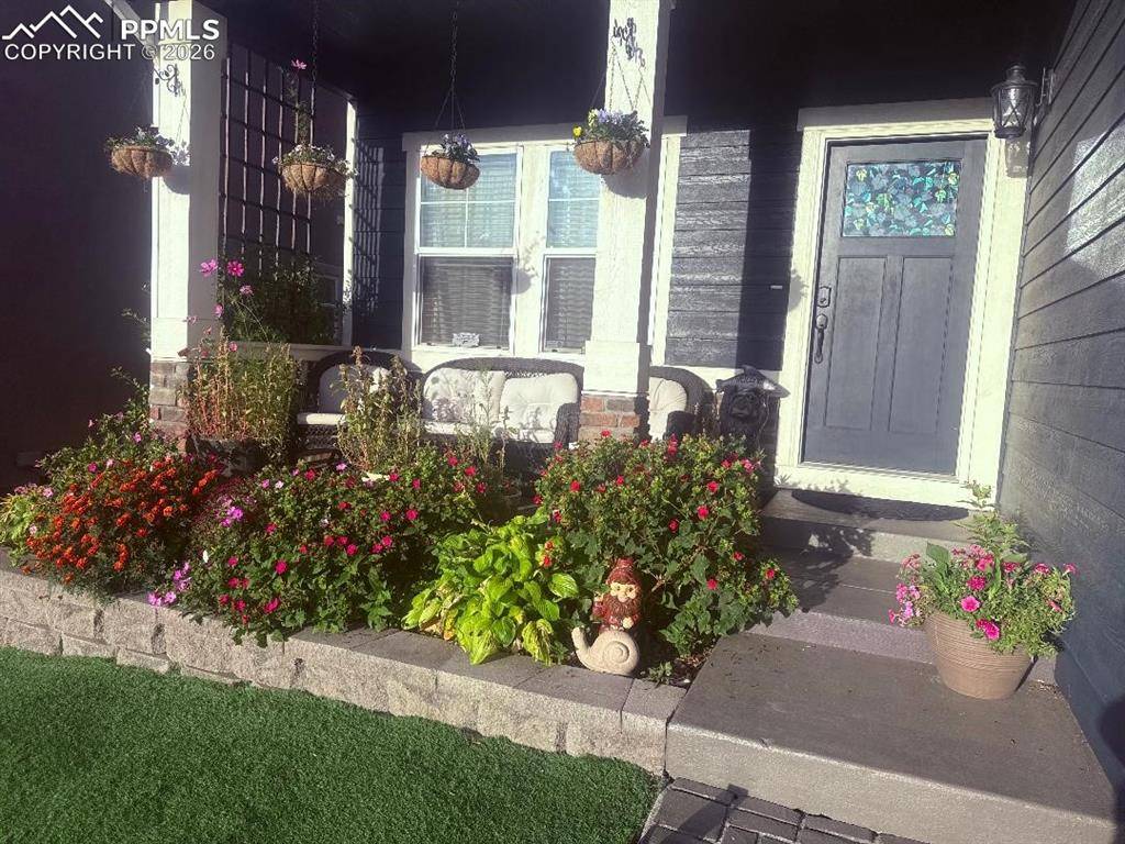 2505 Reed Grass WAY, Colorado Springs, CO 80915