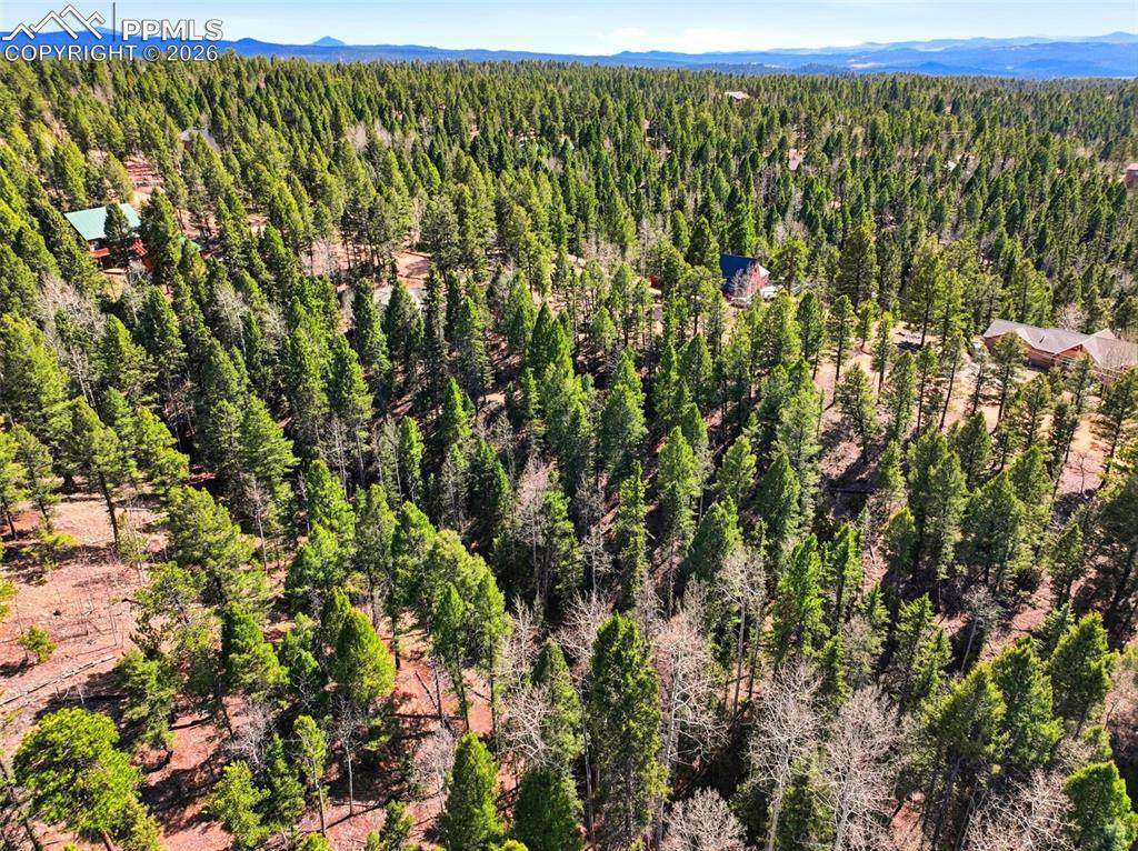 278 Cherry Lake DR, Divide, CO 80814