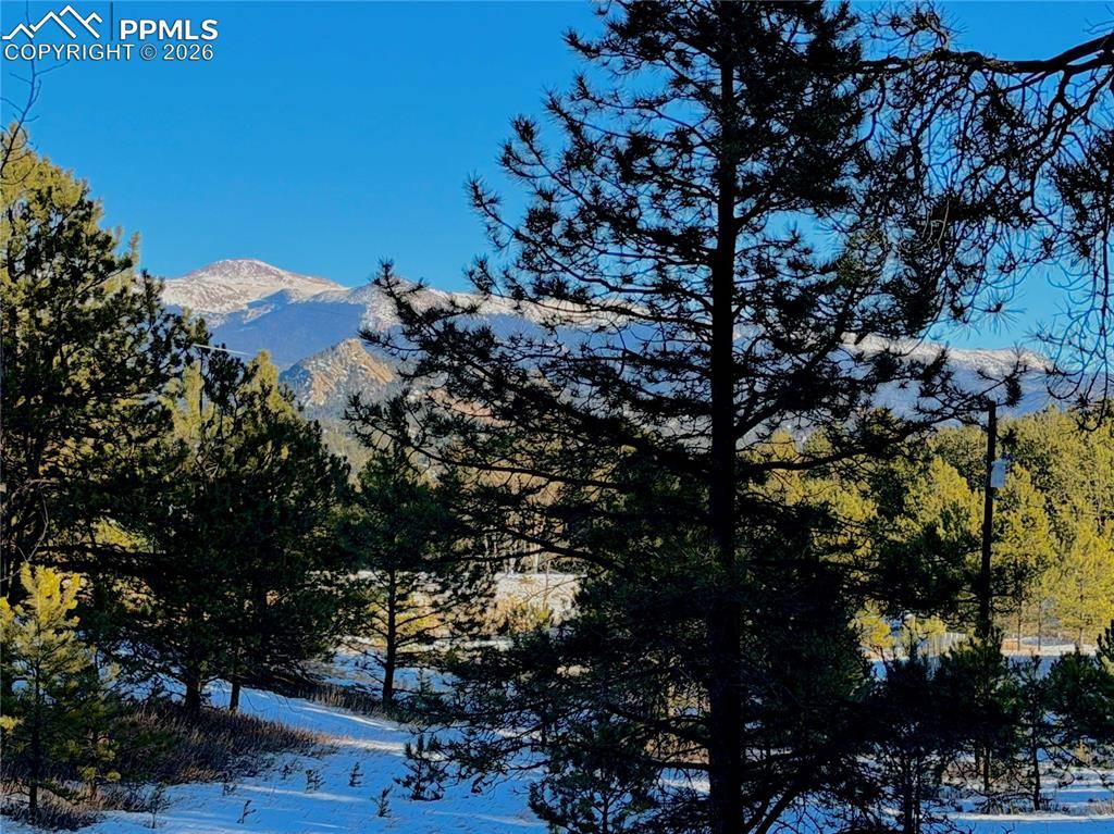 919 Matterhorn DR, Florissant, CO 80816