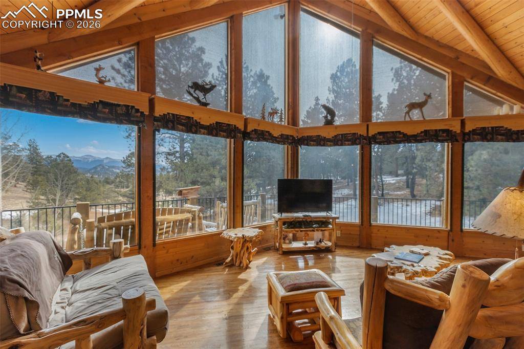 919 Matterhorn DR, Florissant, CO 80816