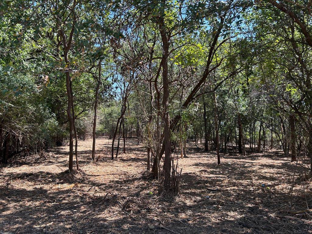 335 S Ash Avenue, Azle, TX 76020