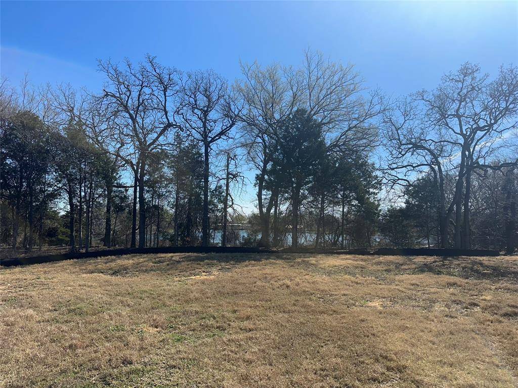 3002 River Birch Road, Dallas, TX 75253