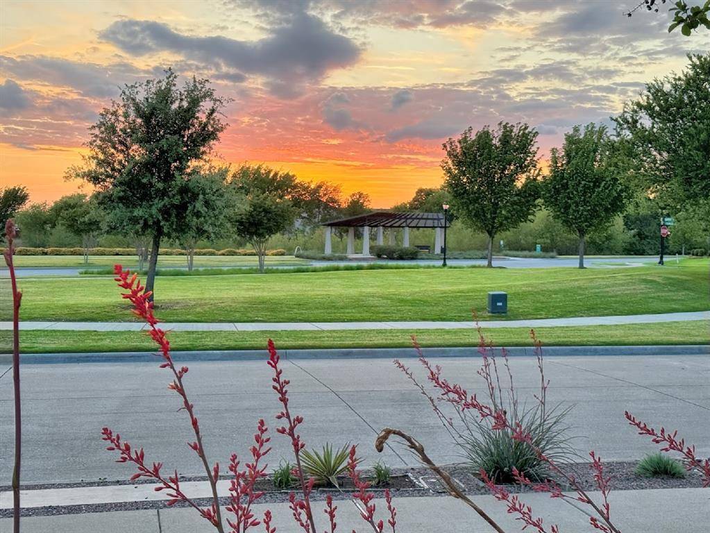 4428 Sunflower Lane, Prosper, TX 75078