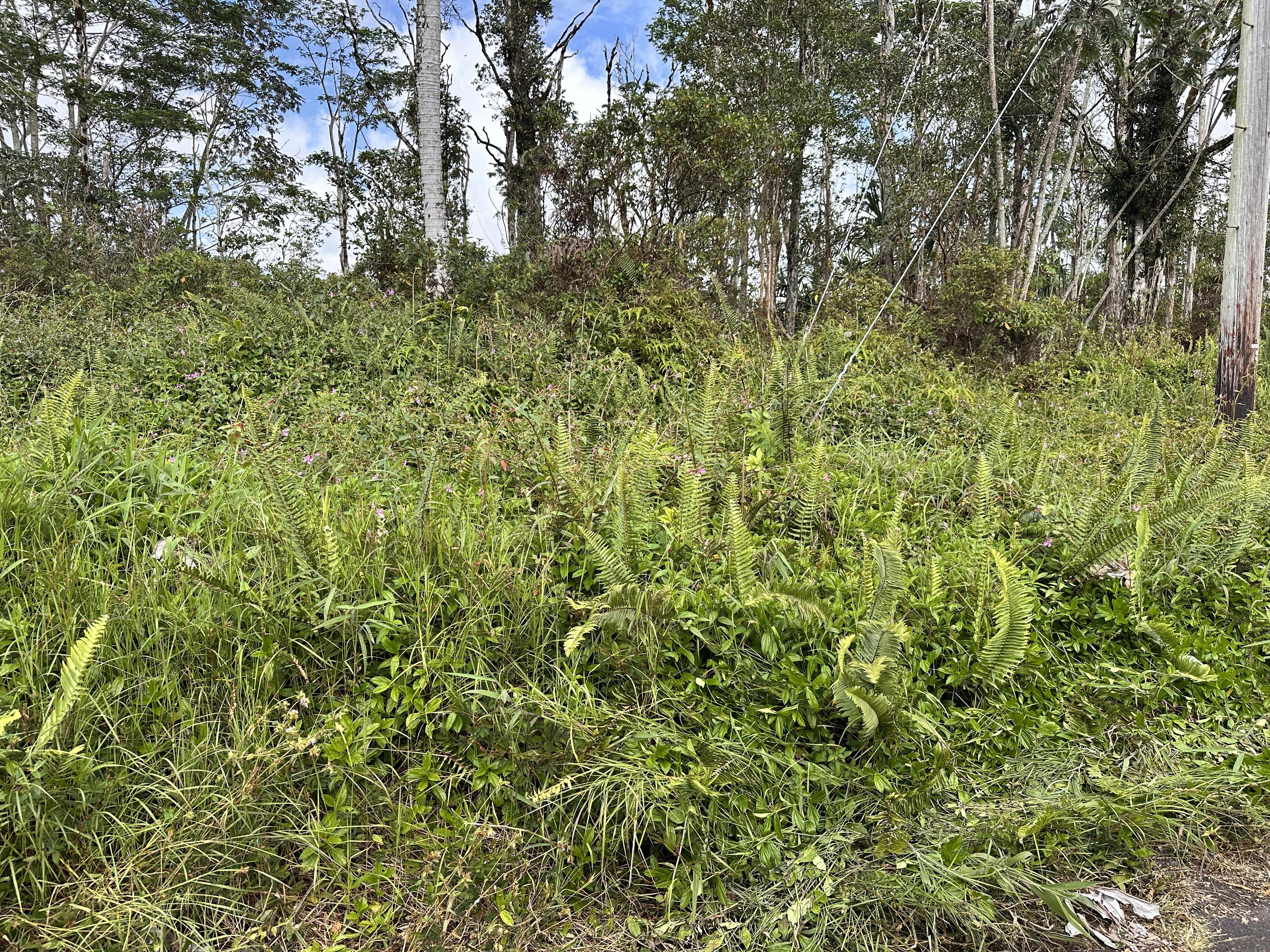 SILVERSWORD CT, Kurtistown, HI 96760