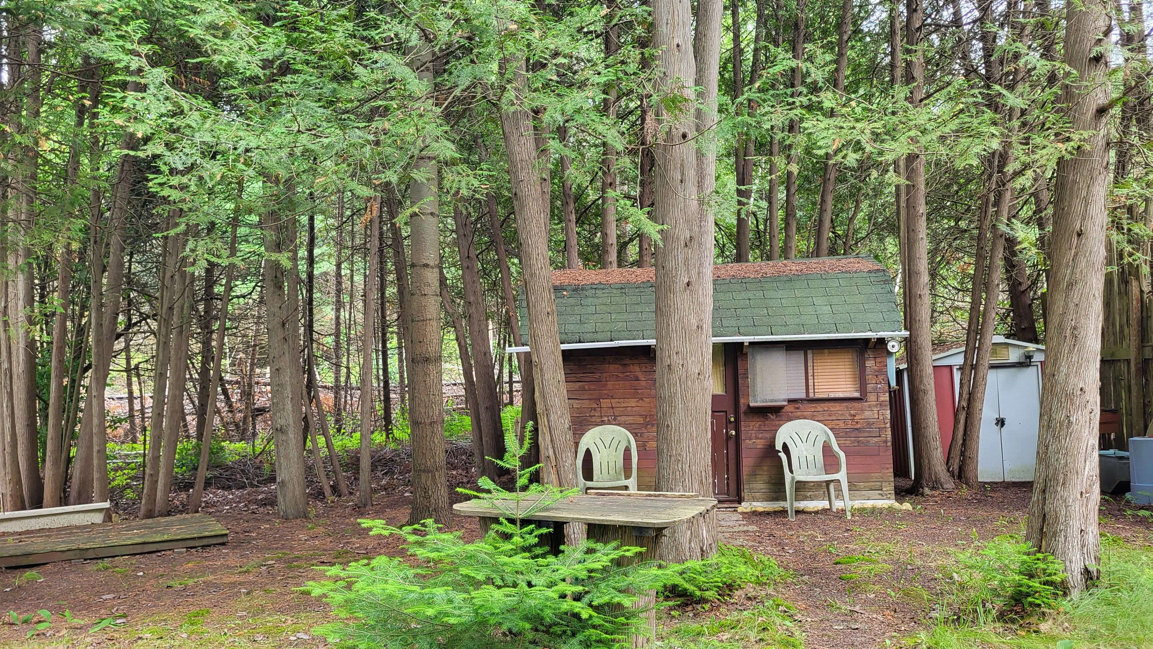 3 Chickadee DR, Georgina, ON L0E 1N0