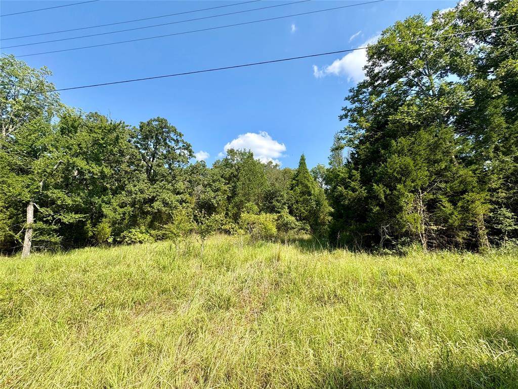 000 Paladin Drive, Log Cabin, TX 75148