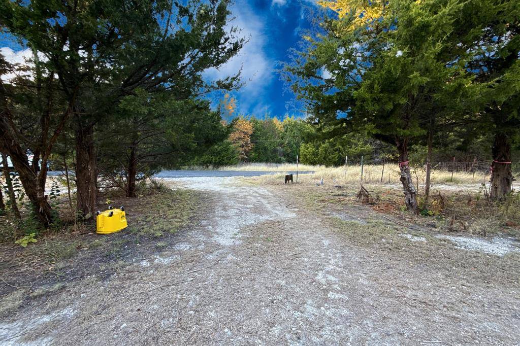 TBD County Road 919 #Lot 23B, Nevada, TX 75173