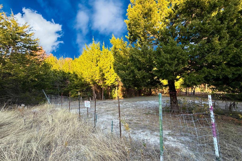 TBD County Road 919 #Lot 23A, Nevada, TX 75173