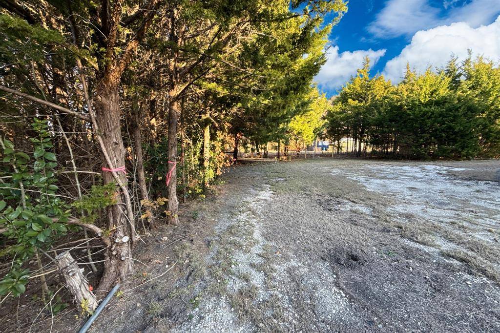 TBD County Road 919 #Lot 23A, Nevada, TX 75173