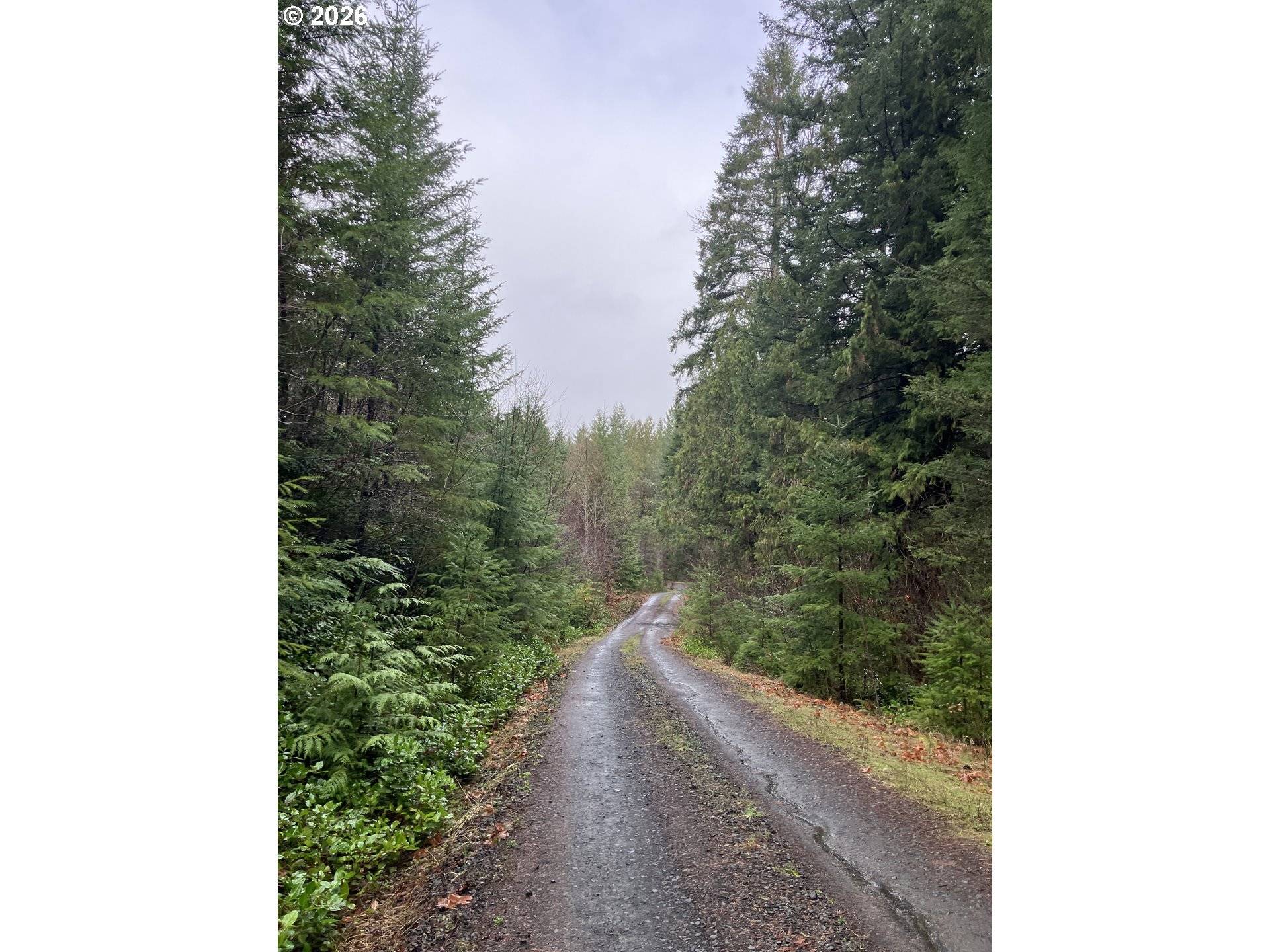 USFS 71 RD, Culp Creek, OR 97434