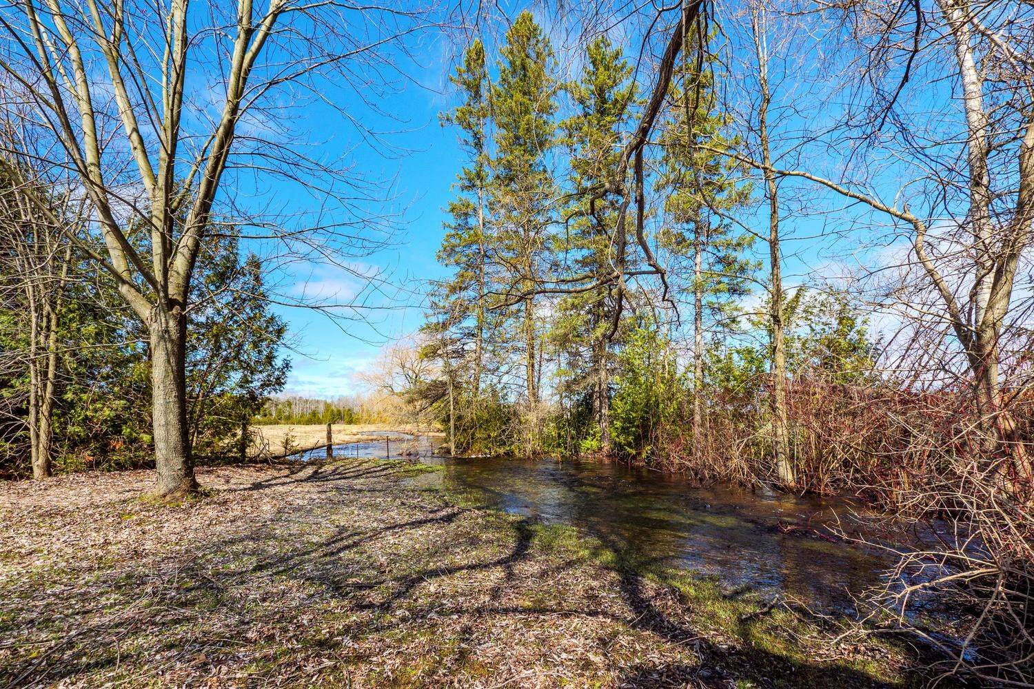 019556 Highway 6 N/A, South Bruce Peninsula, ON N0H 2T0