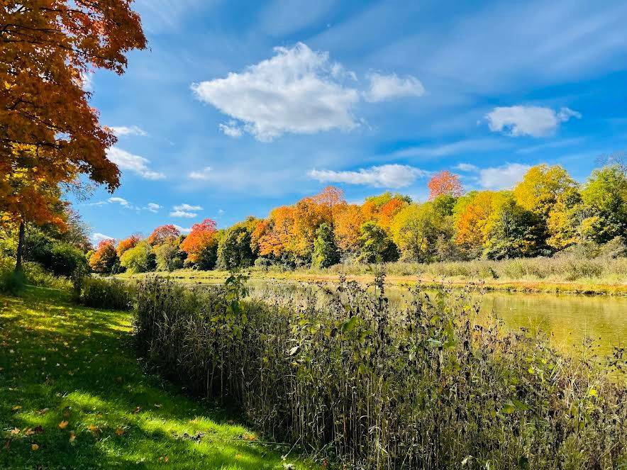 17000 Storey DR, Thames Centre, ON N0M 2P0