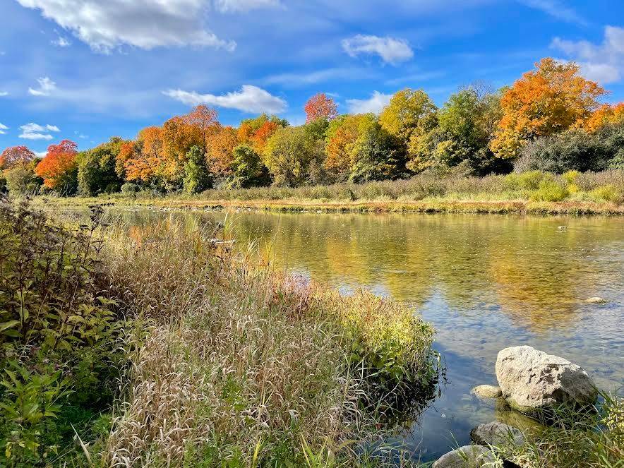 17000 Storey DR, Thames Centre, ON N0M 2P0