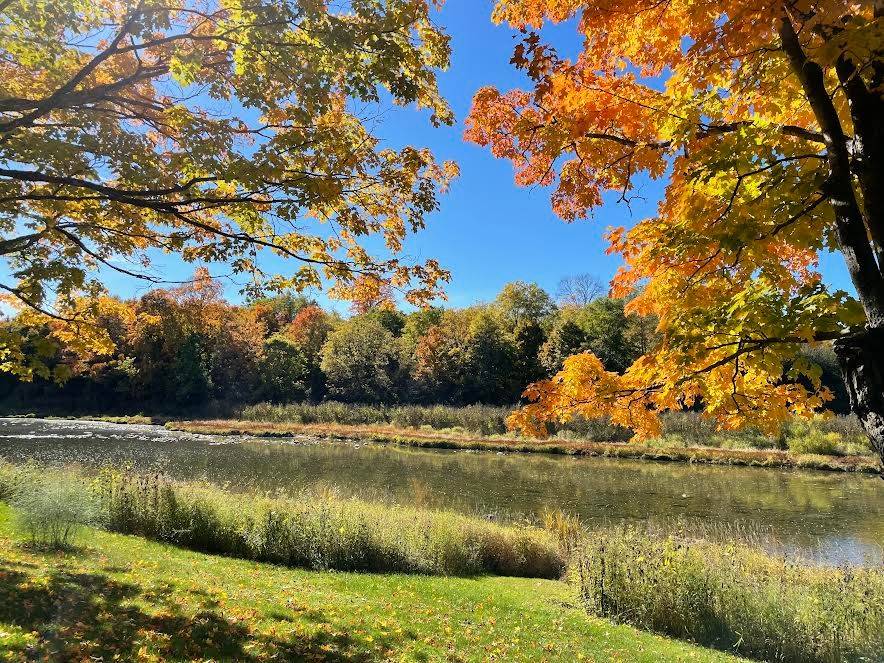 17000 Storey DR, Thames Centre, ON N0M 2P0