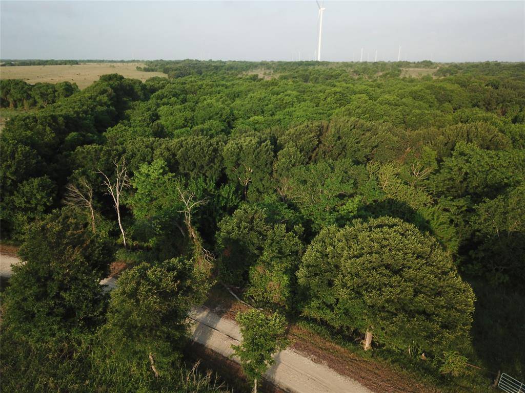15.35 ACRES LCR 219, Coolidge, TX 76635