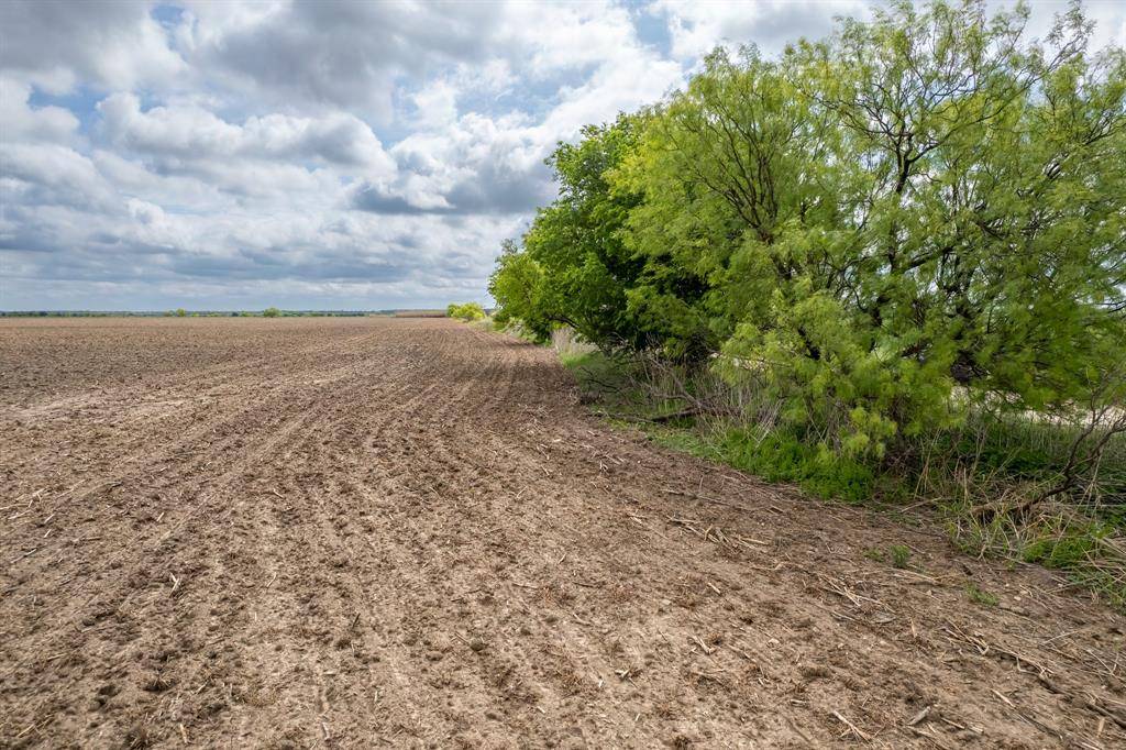 TBD County Road 159, Coleman, TX 76834