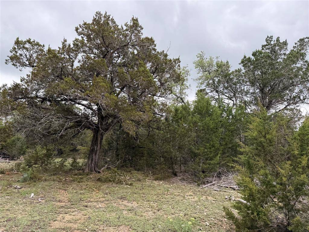 903 County Road 112, Burnet, TX 78611