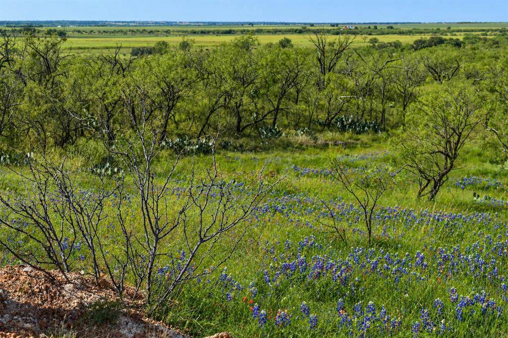 85 Private Road 527, Brady, TX 76825