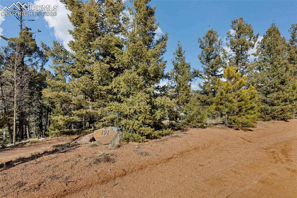 191 Nuaku RD, Florissant, CO 80816