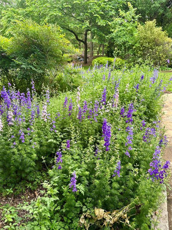 7517 Sunnyview Lane, Flower Mound, TX 75022