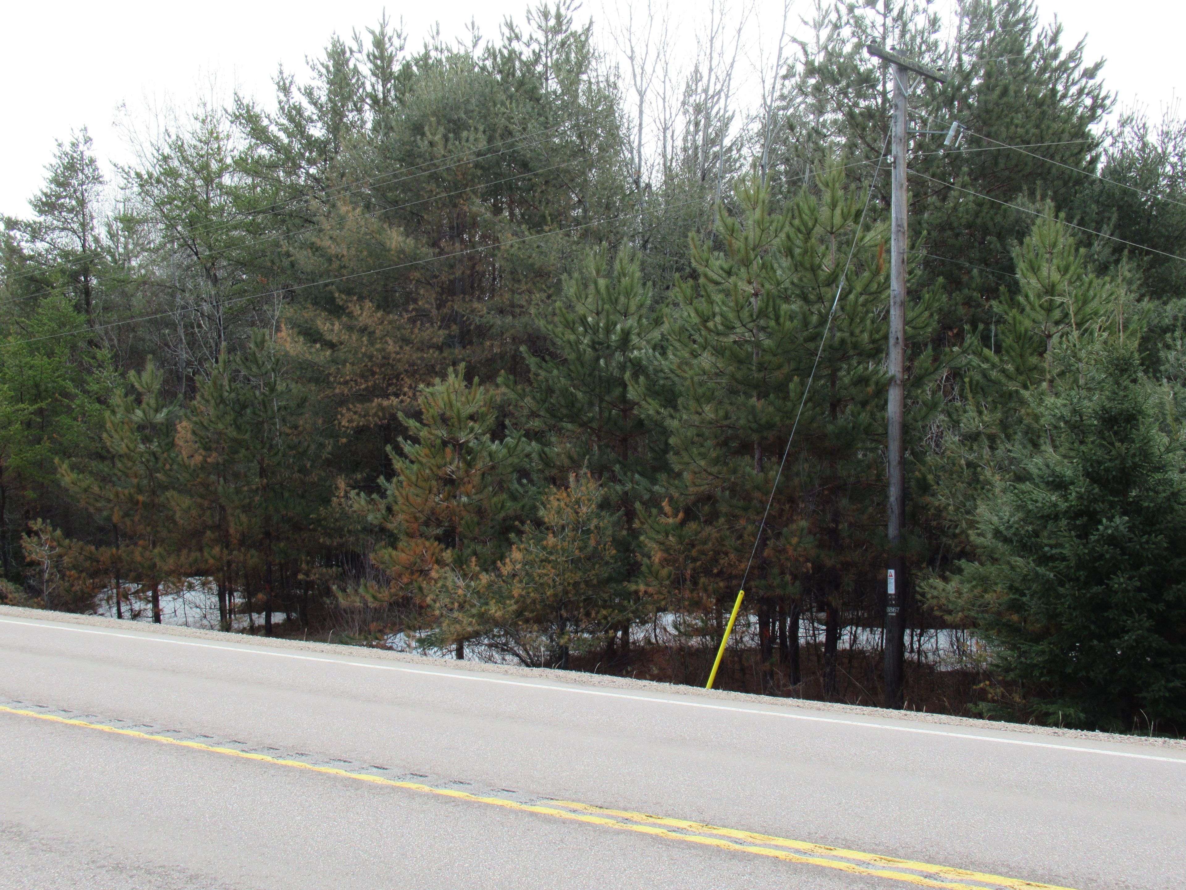 38589 Hwy 17 HWY, Head, Clara And Maria, ON K0J 2B0